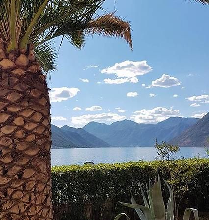 Apartment Maniva Kotor Eksteriør billede