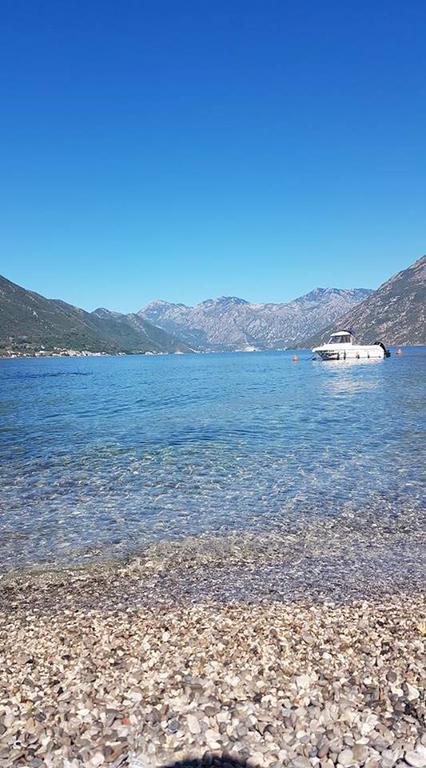 Apartment Maniva Kotor Eksteriør billede
